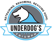 Underdog's Triumph